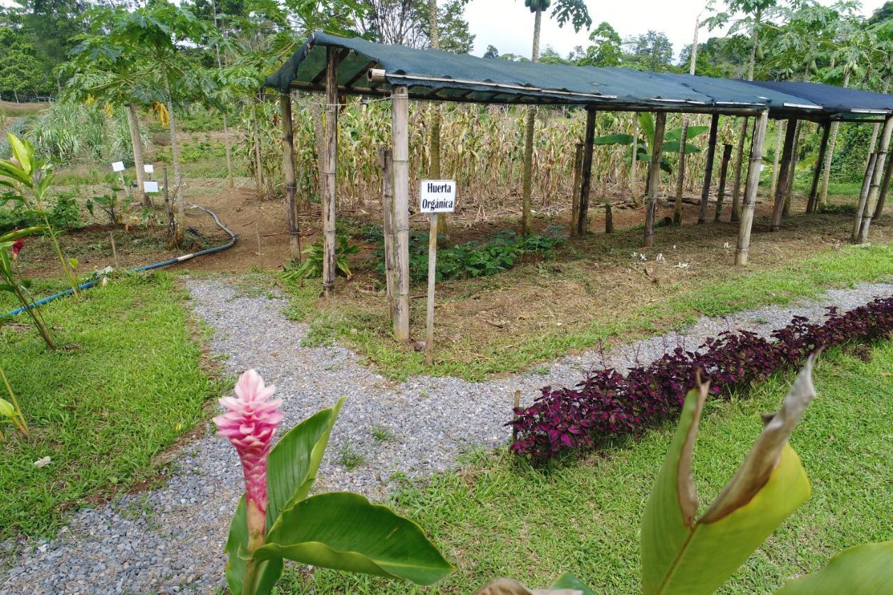 Hope Garden, Sarapiqui, We Connect You With The Sarapiqui Tropical Forest Esterno foto