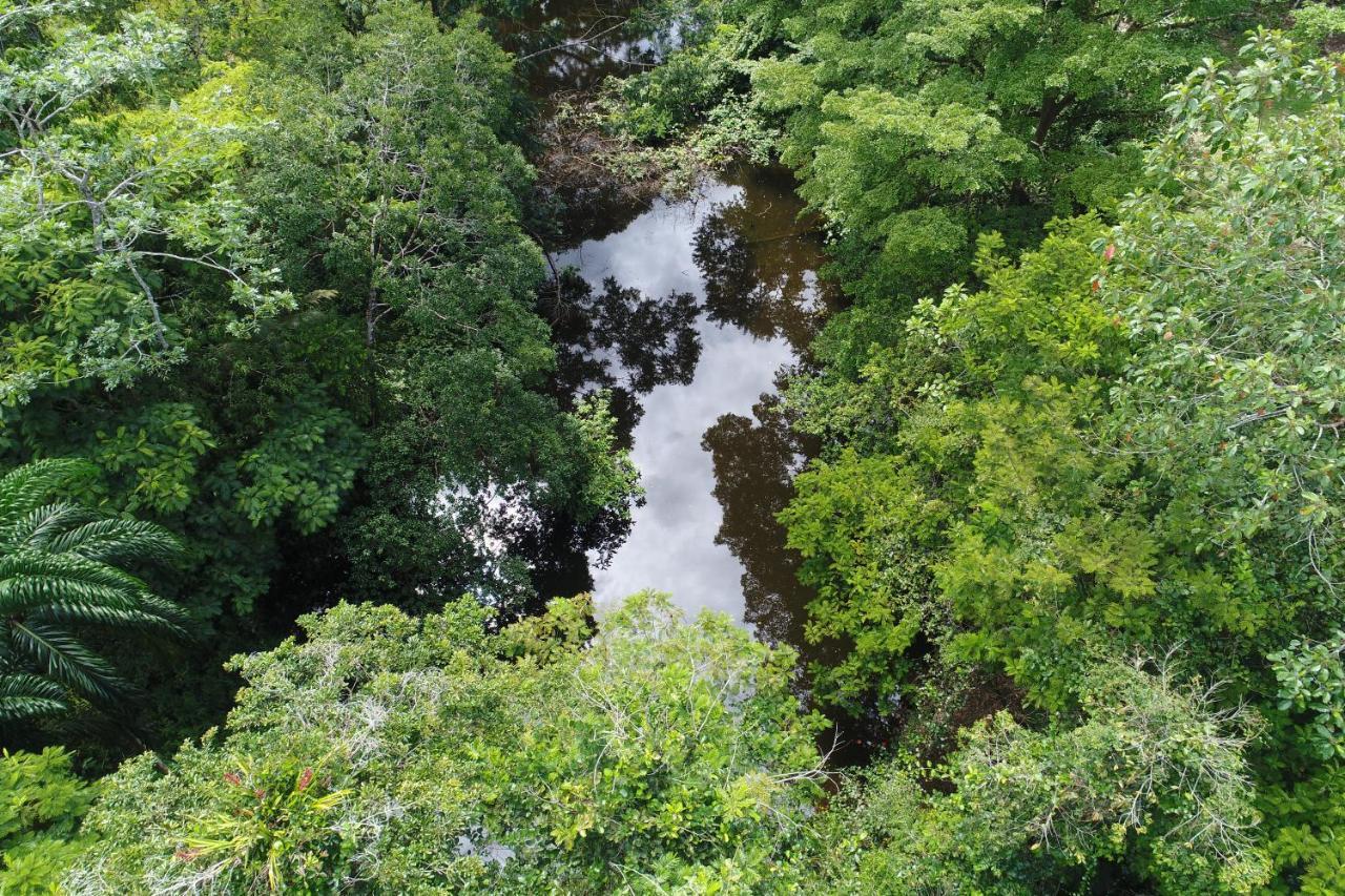 Hope Garden, Sarapiqui, We Connect You With The Sarapiqui Tropical Forest Esterno foto