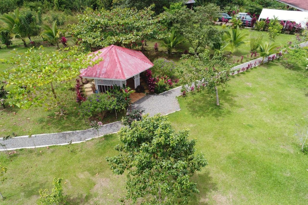 Hope Garden, Sarapiqui, We Connect You With The Sarapiqui Tropical Forest Esterno foto