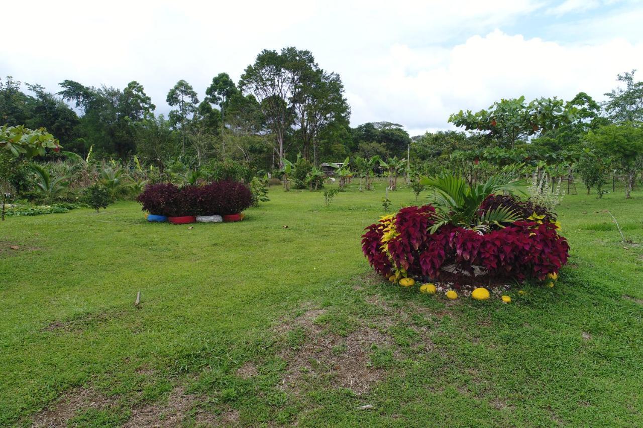 Hope Garden, Sarapiqui, We Connect You With The Sarapiqui Tropical Forest Esterno foto