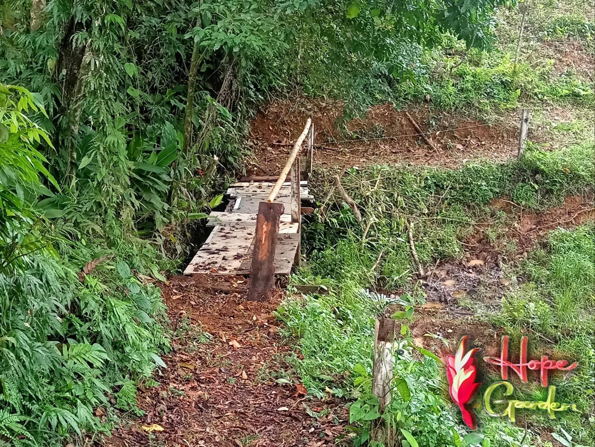 Hope Garden, Sarapiqui, We Connect You With The Sarapiqui Tropical Forest Esterno foto