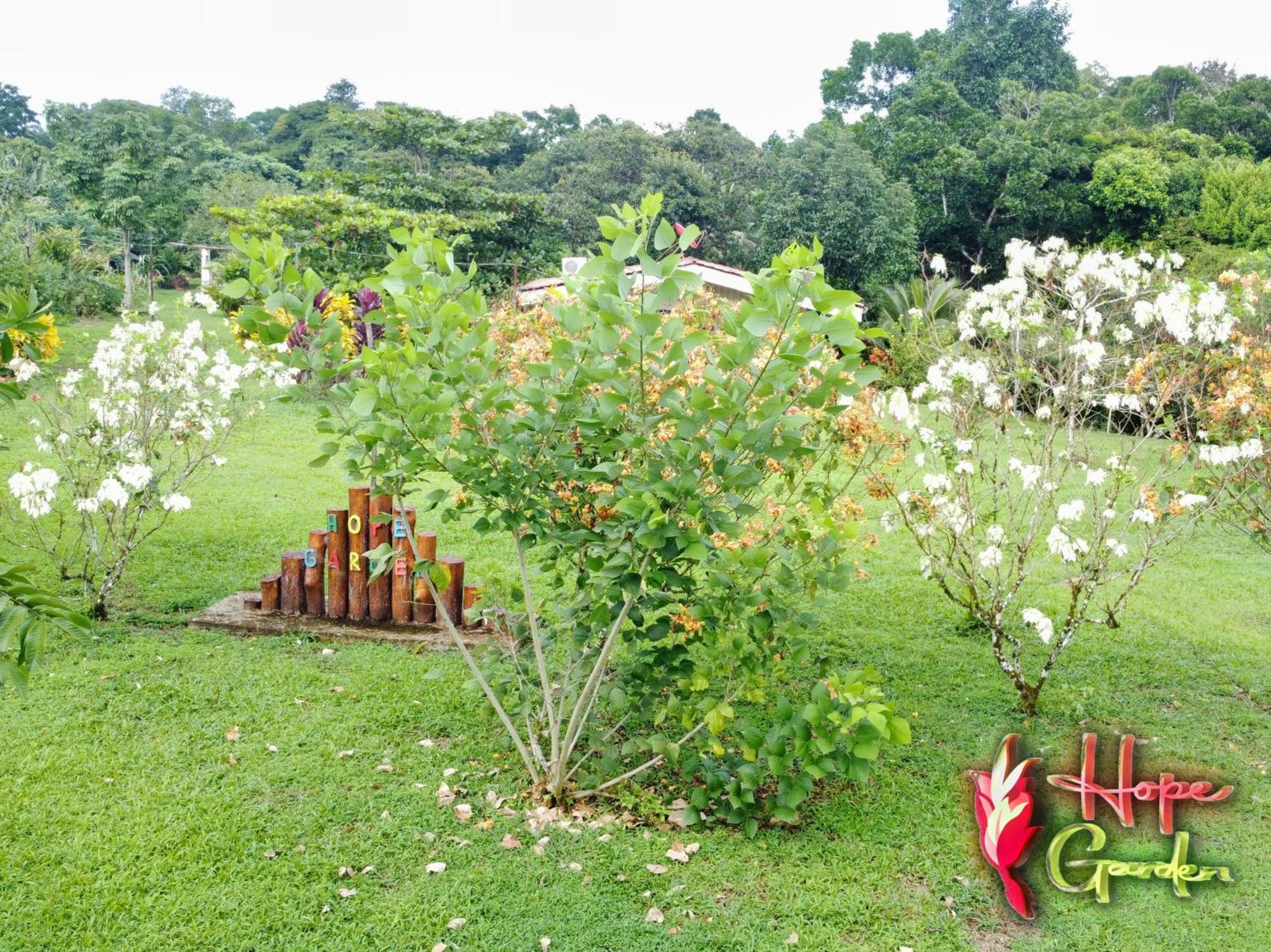 Hope Garden, Sarapiqui, We Connect You With The Sarapiqui Tropical Forest Esterno foto