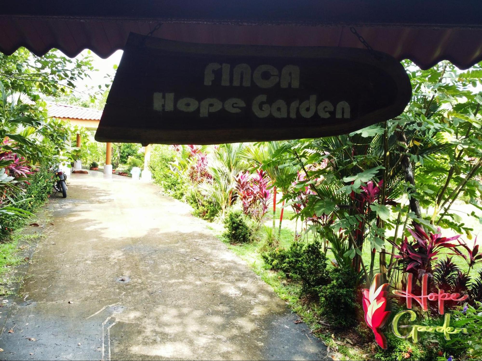 Hope Garden, Sarapiqui, We Connect You With The Sarapiqui Tropical Forest Esterno foto