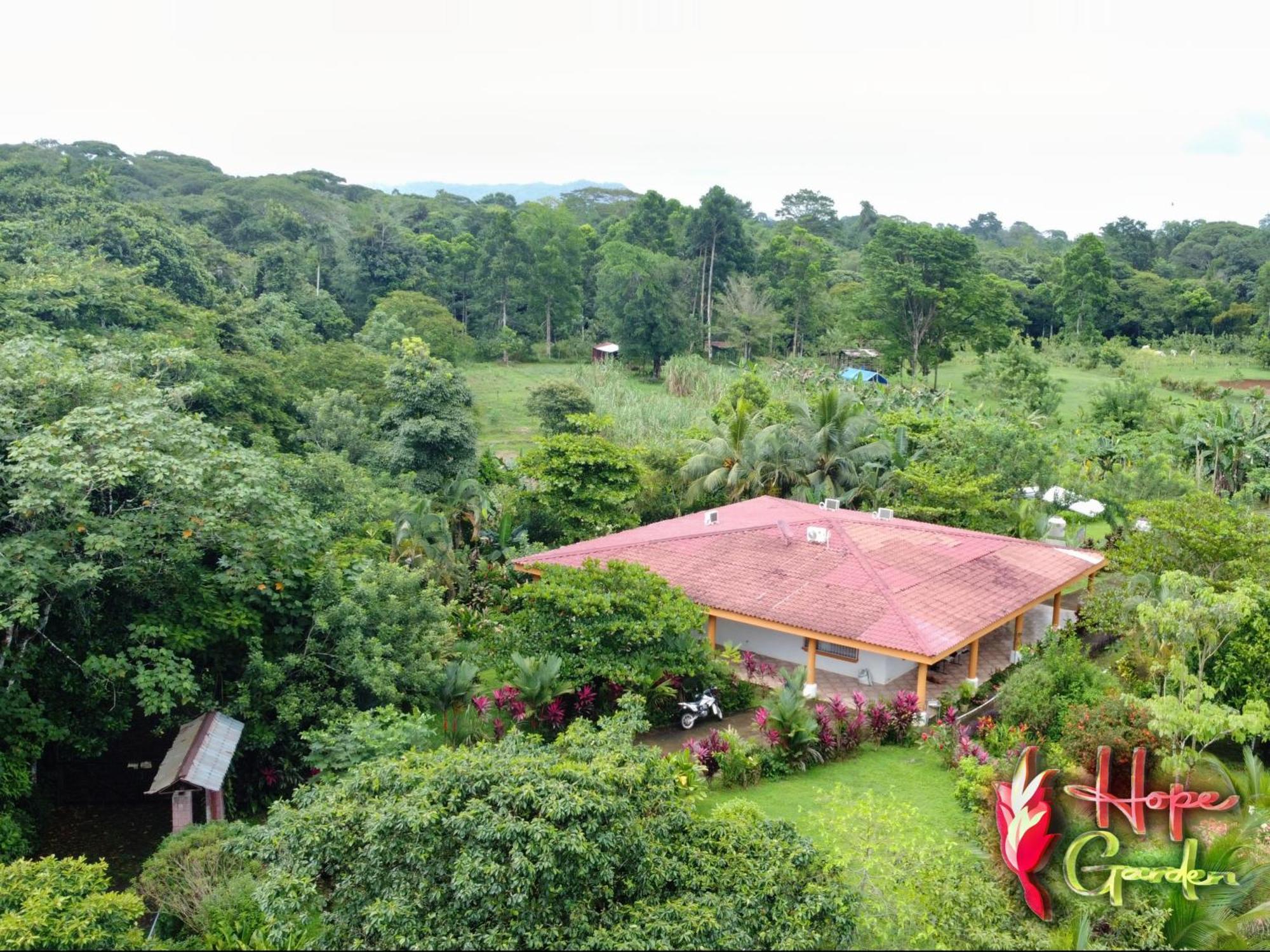 Hope Garden, Sarapiqui, We Connect You With The Sarapiqui Tropical Forest Esterno foto