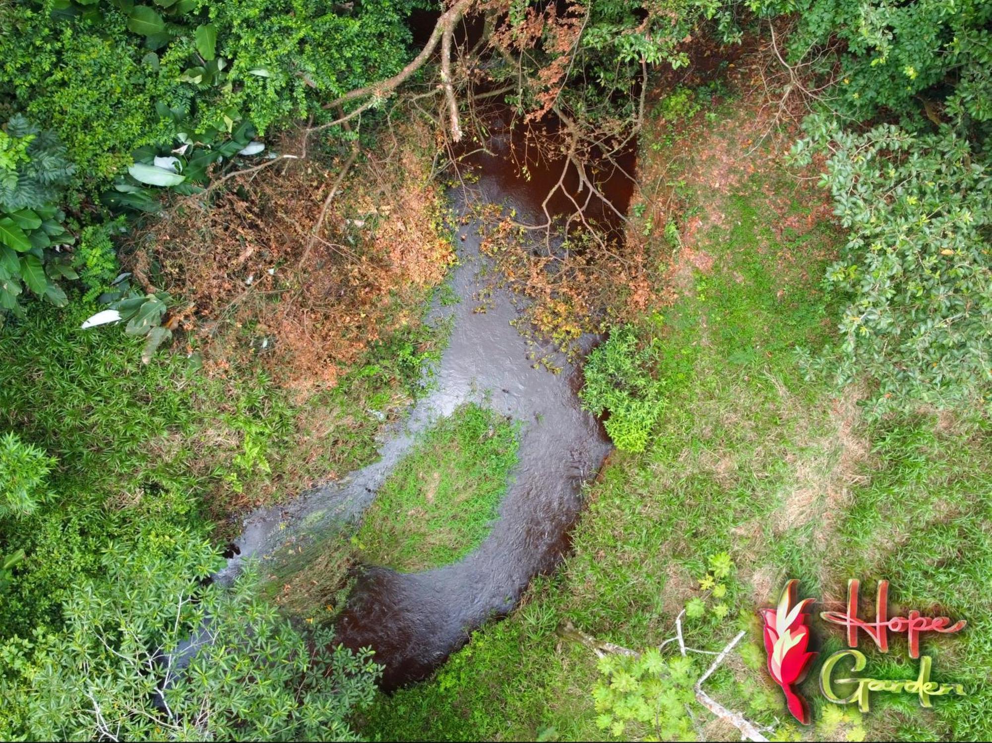 Hope Garden, Sarapiqui, We Connect You With The Sarapiqui Tropical Forest Esterno foto