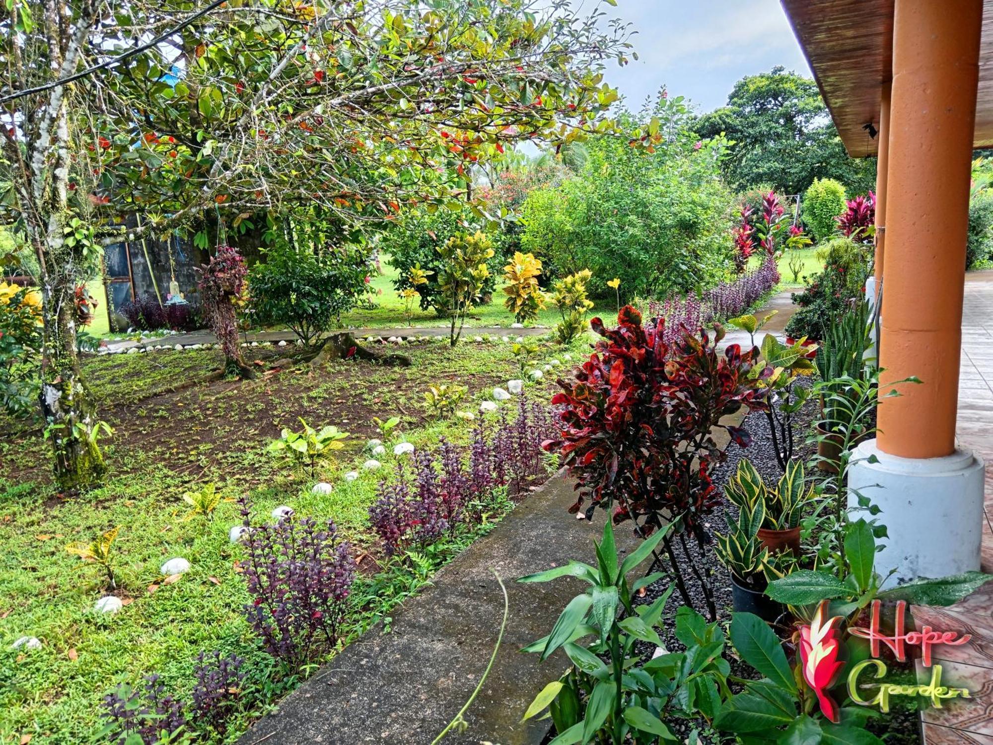 Hope Garden, Sarapiqui, We Connect You With The Sarapiqui Tropical Forest Esterno foto