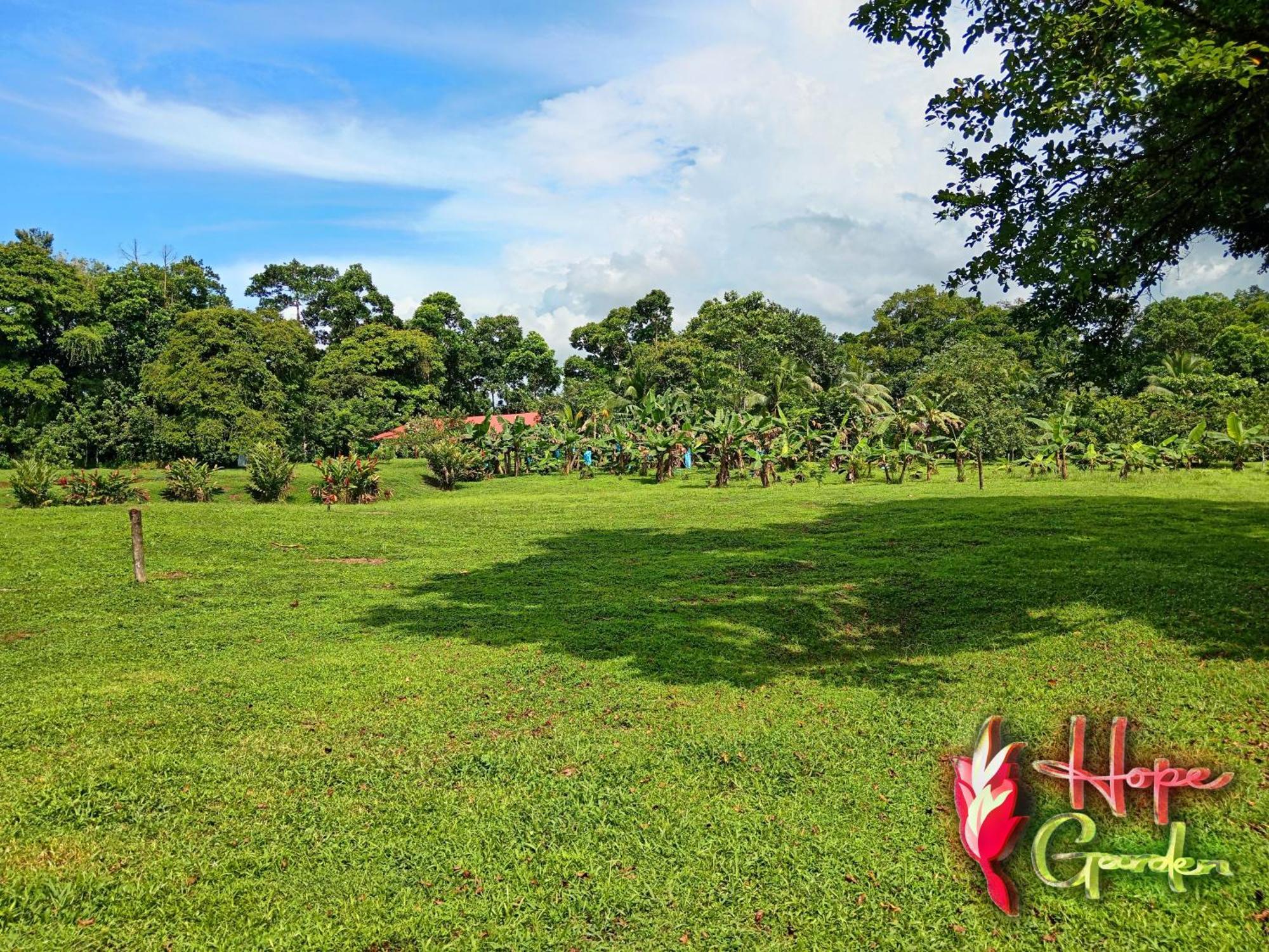 Hope Garden, Sarapiqui, We Connect You With The Sarapiqui Tropical Forest Esterno foto